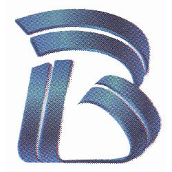 Bricks & Bridges Ltd.