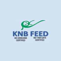 KNB Agro Industries Limited (KNB) 